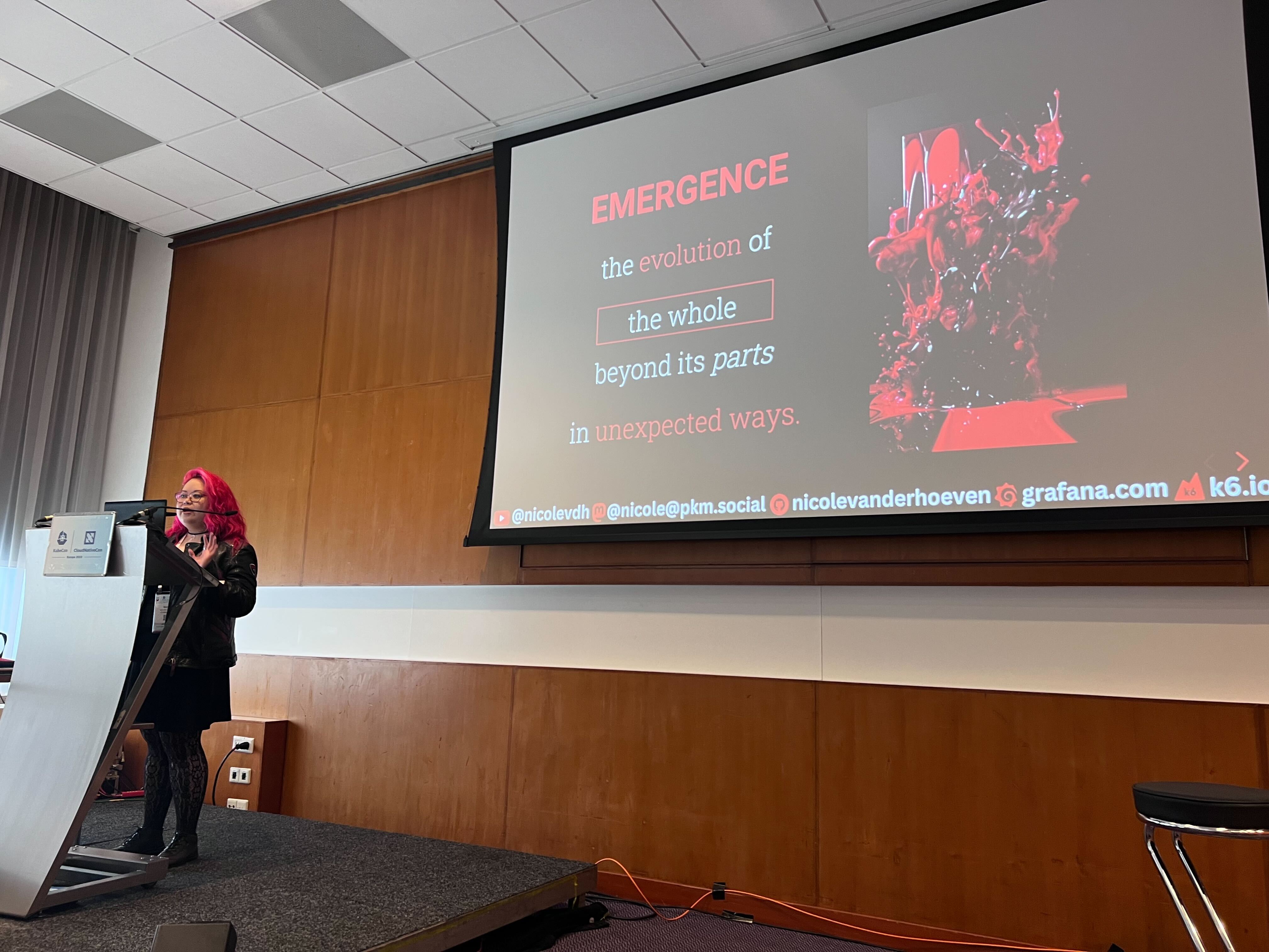 Me presenting, with a slide containing my definition of emergence on the screen